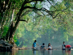 '' പ്രകൃതിയെ അറിയാൻ''!! ഇന്നത്തെ തലമുറക്കും  വരാൻ പോകുന്ന തലമുറക്കും വേണ്ടി, ശ്രദ്ധയമായി ''ഏലേലോ''