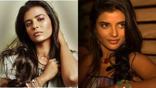 കമല്‍ഹാസന്‍റെ  ഇന്ത്യന്‍ 2നോട് നോ പറഞ്ഞ് ഐശ്വര്യ രാജേഷ്! നിരസിക്കാനുള്ള കാരണം ഇതോ?