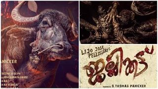 ലിജോയുടെ പോത്ത് തേരോട്ടം തുടങ്ങി; ജെല്ലിക്കട്ട് ഗംഭീരം — ശൈലന്റെ റിവ്യൂ