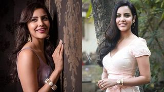  പുതുവര്‍ഷത്തില്‍ പുതിയ ജീവിതം! വിവാഹ സ്വപ്നങ്ങളെക്കുറിച്ച് വാചാലയായി പ്രിയ ആനന്ദ്!