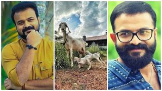 ഗോട്ട്‌സ് ഓണ്‍ കണ്‍ട്രി എന്ന് ചാക്കോച്ചന്‍, കണ്‍ട്രി നീയാണോ എന്ന് ജയസൂര്യ, രമേഷ് പിഷാരടിയുടെ മറുപടി