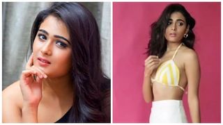വീട്ടിൽ നിന്നും ഒളിച്ചോടേണ്ടി വന്നു; നടിയാവാൻ വേണ്ടി നടത്തിയ ശ്രമങ്ങളെ കുറിച്ച് അർജുൻ റെഡ്ഡി താരം ശാലിനി പാണ്ഡ