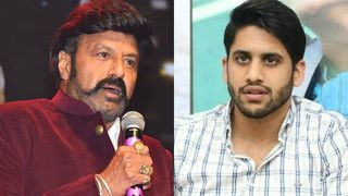 ഇങ്ങനെ സ്വയം കൊച്ചാകരുത്! ബാലയ്യയ്‌ക്കെതിരെ പരസ്യ താക്കീതുമായി നാഗ ചൈതന്യ 