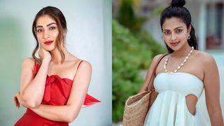 സെറ്റിലെത്തുന്നത് പത്ത് ബോഡി ​ഗാർഡുകളുമായി; അമല പോളും ലക്ഷ്മി റായും കുരുക്കിൽ 