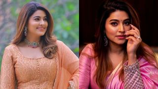 ഇങ്ങനെ ചെയ്ത് ജീവൻ അപകടത്തിലാക്കല്ലേ; ദയവായി പിൻമാറൂ; സ്പന്ദ​നയെ ഓർമ്മിപ്പിച്ച് ആരാധകർ