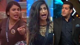 അഹങ്കാരം കാണിച്ചു, കരിയർ തകർത്ത് കൈയിൽ കൊടുത്ത് സൽമാൻ; ജാസ്മിനെ തീർത്തേനെ; അന്ന് സംഭവിച്ചത് 