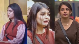ഗബ്രിയുടെ ഫോട്ടോ വലിച്ചുകീറി ജാസ്മിന്റെ കുടുംബം? ബിഗ് ബോസ് വീട്ടില്‍ നാടകീയ നിമിഷങ്ങളെന്ന് സൂചന 