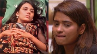 ജാസ്മിനെയല്ല ജിന്റോയെ ജയിലിലേക്ക് വിടണമെന്നായിരുന്നു നോറയ്ക്ക്, സോറി അം​ഗീകരിക്കാതെ ജാസ്മിൻ!