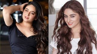 അയാള്‍ ഞങ്ങളുടെ വില എഴുതിയ കാര്‍ഡ് കാണിച്ചു തന്നു; കപ്പലില്‍ പോകണം; ചതിയെപ്പറ്റി മമ്മൂട്ടി ചിത്രത്തിലെ നായിക