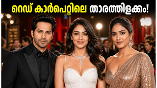 'ഹായ് ജവാനി' പ്രീമിയർ; റെഡ് കാർപെറ്റിൽ താരങ്ങളുടെ സ്റ്റൈൽ പരീക്ഷണങ്ങൾ; ആരാധകർ കാത്തിരിക്കുന്ന ആ ലുക്കുകൾ!