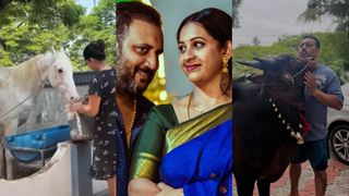 നായകൾ, ആട്, കാള, ഇപ്പോൾ കുതിരയും! വാടക വീടിന്റെ ഉടമ എങ്ങനെ സമ്മതിക്കുന്നു, മൃ​ഗശാലയല്ലല്ലോ? അർജുനോട് ചോദ്യങ്ങൾ