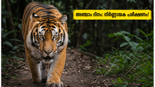 വെൽക്കം ടു ദി ജംഗിൾ: അഞ്ചാം ദിനത്തിൽ ബോക്സ് ഓഫീസിൽ നിർണ്ണായക പരീക്ഷണം! പ്രേക്ഷകർ കൈവിട്ടോ?