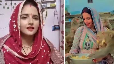 पाकिस्तानी सीमा हैदर को बंदरों के झुंड ने घेरा, हैरान करने वाला वीडियो हुआ वायरल!