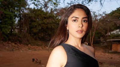 Mrunal Thakur Reflects On Her Journey Amid Dacoit Success: All The Struggle Has Been Absolutely Worth It