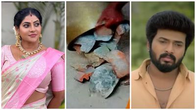 நகை பெட்டியில் கல்லு மணல்.. பஞ்சாயத்தில் காத்திருந்த அதிர்ச்சி.. கார்த்திகை தீபம்! 