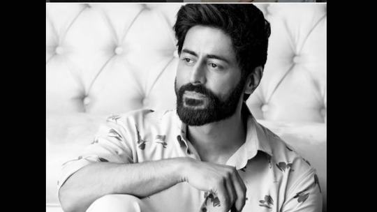 Mohit Raina