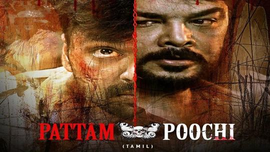 Pattampoochi OTT Release Date & Time Out!