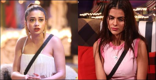 Bigg Boss 16: Tina Dattas RE-ENTRY Gets MASSIVE Rating But Priyanka Choudhary Is The REAL TRP Queen