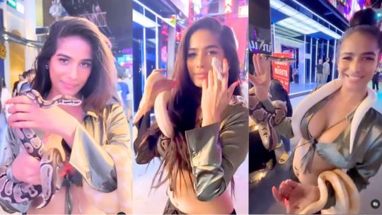 Poonam Pandey Snake Video