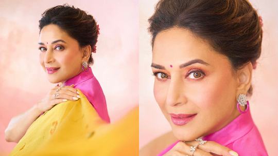 Madhuri Dixit Raises The Bar Of Sarees By Donning Rekha