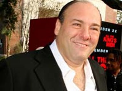 James Gandolfini 'begged' to land Broadway role