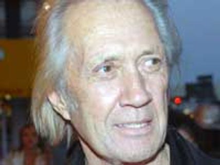 Carradine may have died during auto-erotic sex act