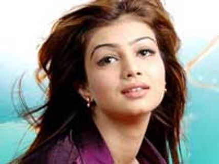 Ayesha Takia admires Salman Khan