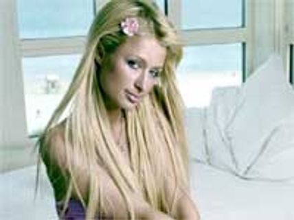 Paris Hilton's dog to date Cheryl Cole's pooch