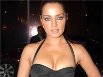 Celina pockets 60 lakhs for New Year Bash