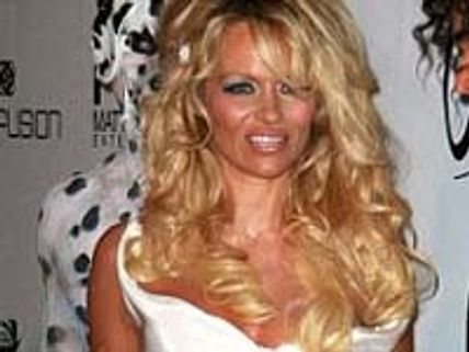 Pamela Anderson's boob flash at New Year’s Eve party