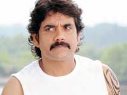 Nagarjuna's Kedi for Valentine's day