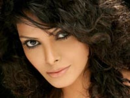 Sherlyn attracts Shahrukh Khan !
