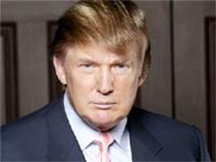 Sandra, Jesse will split for good: Donald Trump