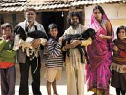Peepli Live- Music Review