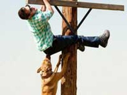 Jackass 3-D tops weekend box office