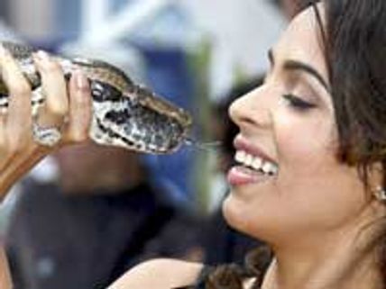 Mallika Sherawat's best kiss is with a snake
