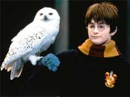 Harry Potter owl owners in legal soup