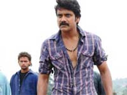 Nagarjuna prefers filmmakers over script