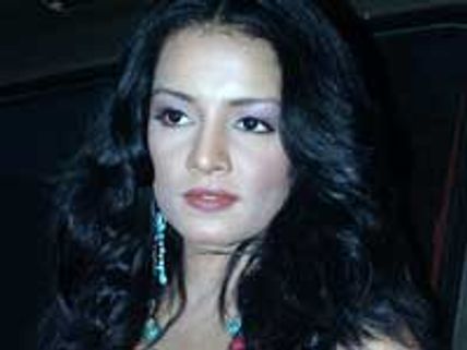 Celina Jaitley secretly weds her beau?