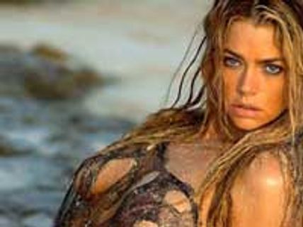 No adult film star will be babysitting our kids: Denise Richards