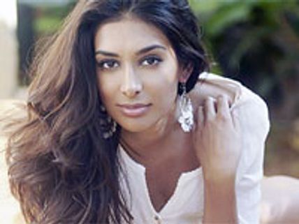 Preeti Desai's fake topless pictures hit the net