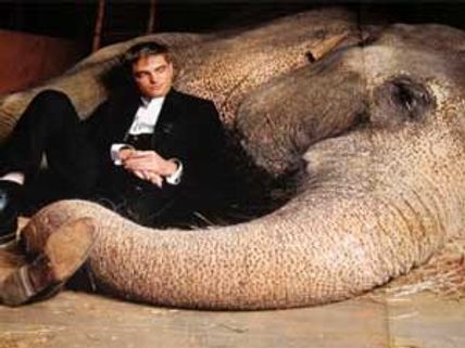 Water for Elephants bosses slam animal abuse reports