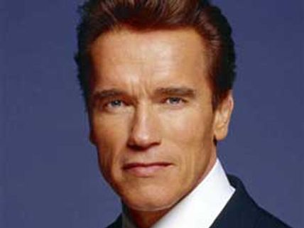Arnold Schwarzenegger has a secret love child