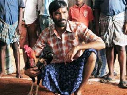 Aadukalam steals limelight, wins 5 National Awards