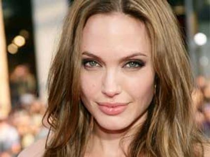 Angelina Jolie enjoyed playing Tigress in Kung Fu Panda 2