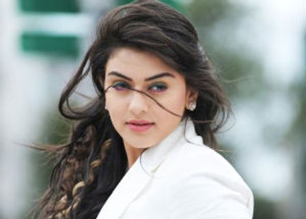 Hansika hasn't sealed the deal with The Businessman