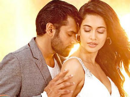 Panjaa distribution rights of Hyderabad sold for unbelievable price