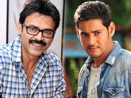 Businessman Mahesh Babu-Bodyguard Venkatesh ready for SVSC