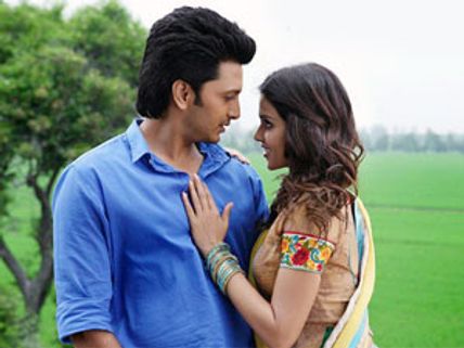 Riteish, Genelia's marriage won't affect their films