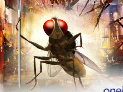 SS Rajamouli ends confusion over Eega release date